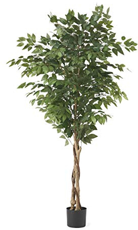 Artificial Ficus Tree 6ft Tall (71 Inch), Realistic Weeping Fig with Natural Twisted Trunk, Large Faux Indoor Floor Plant in Nursery Pot for Living Room Home Office Decor, Green