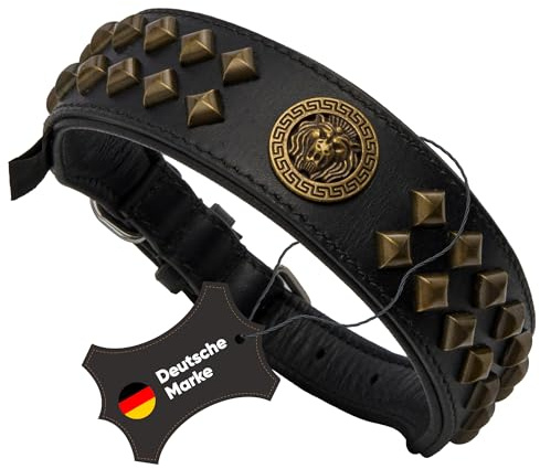 MICHUR Diego Hundehalsband Leder Schwarz | 1. Wahl, Löwenkopf Nieten, Messing Optik Gold
