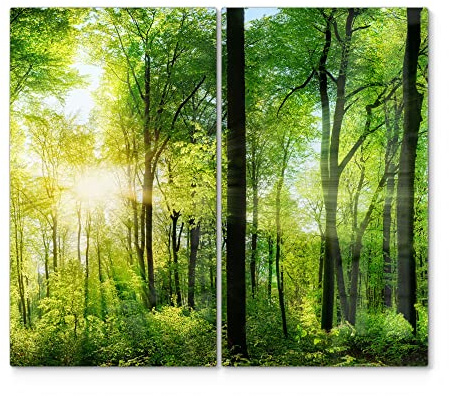 DEQORI Herdabdeckplatten Glas | 2er Set 60x52 cm | Motiv Sonne durchbricht Wald | Ceranfeld Abdeckplatten in Küche | Herd-Abdeckungen universal | Glasplatten & Schneidebretter für Kochplatte
