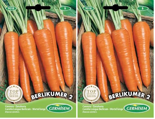 Germisem Berlikumer 2 Semillas de Zanahoria 10 g (EC9018) (Paquete de 2)