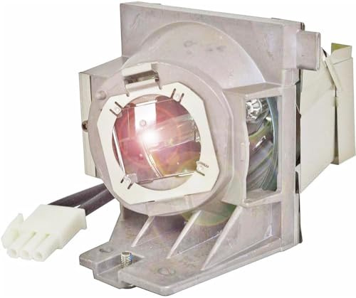 HOSECES RLC-109 Replacement Lamp Bulb with Housing Compatible with VIEWSONIC PA503W PG603W PS501W PS600W VS16907 Projector Lamp