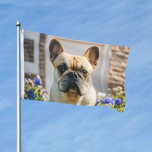 Bandiera 90 x 150 cm, decorazione da giardino, resistente, bulldog francese, bandiera carina per esterni, con 2 occhielli, bandiere di benvenuto per vacanze tutte le stagioni
