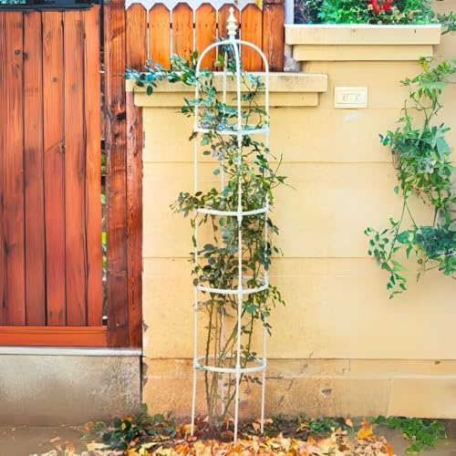 Generisch Rankhilfe Obelisk 60 90 120 150 180 cm Hoch, Metall Rankgitter Rankhilfen für Kletterpflanzen, Schwarz Metall Rankhilfe für Rosen Gurken Tomaten Gurken(White,28 x 150cm/0.92 x 5ft)