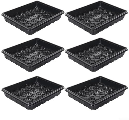 User Friendly Plant Growth Chassis Designed for Healthy Root Development of Succulent Cuttings (Black)