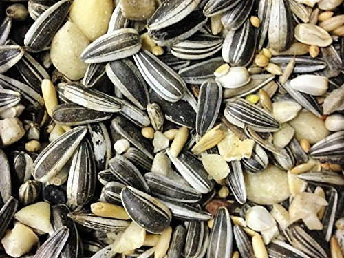 Debes Streufutter Spezial für Wildvögel 15 kg - ohne Milo - ohne Weizen - ohne Mais - Wildvogelfutter