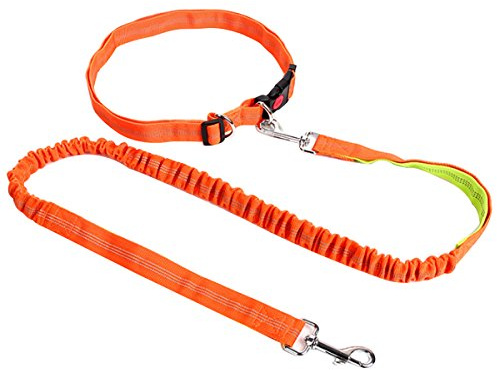 AiSi Hundeleine mit Bauchgurt, Joggingleine, Verstellbare Freihandleine mit Laufgürtel, Jogging Hundeleine für kleine und große Hunde, Leine für Joggen Laufen Wandern Orange