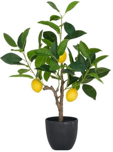 CREATIV green künstliches Zitronenbäumchen 48cm I Künstlicher Zitronenbaum mit 3 Zitronen im Kunststofftopf 11,5x10,5cm mit Erde I mediterrane Pflanzen als Sommer Deko I hochwertige Kunstpflanzen