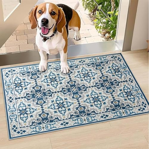 Hafaa Door Mat Indoor & Outdoor - Non Slip Heavy Duty Doormats - Stylish & Printed Mat - Perfect Dust Grabbing Shoes Scrapper Door Mats (Luna Blue, 40cm x 60cm)