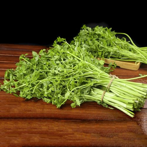 semi di crescione biologici, balcone per esterno resistenti per il giardino 400pcs