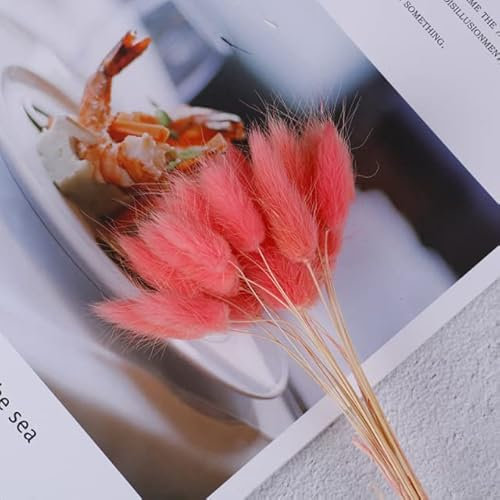 20 Stück natürliche getrocknete Blumen weiße künstliche Blumen bunter gefälschter Kaninchenschwanz Gras Ovatus Fuchsschwanz-Blumenstrauß Lange Sträuße-PK