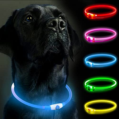 SerDa-Run Light Up Collar, Rechargeable Flashing Dog Collar with Size Adjustable Light - Three Modes (Blue)