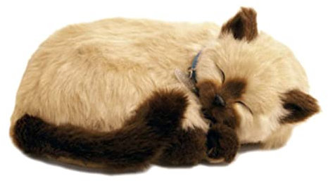 Perfect Petzzz Chat Siamese Qui respire The Original Breathing Pet New Huggable Soft Version Plush Toy Gift Bundle