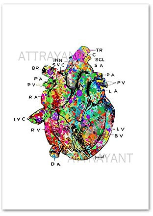 Ling88 Poster da Parete Anatomia Cuore Cervello Astratto Medicina Wall Art Print Canvas Painting Nordic Poster E Stampe Immagini A Parete per Soggiorno Poster Estetico -50X70Cm