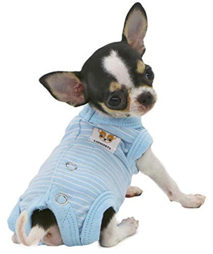 LOPHIPETS Girl Dog Shirts Pajamas - Fits 0.5-1.2 lbs - Young Chihuahuas & Teacup Puppies - Blue Strips/XXS【Tiny Size - Choose Cautiously】