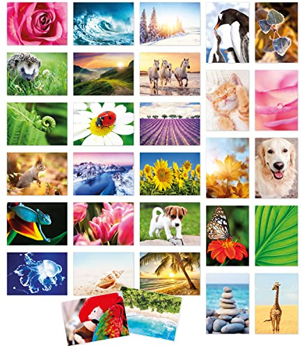 Einladungskarten Manufaktur Hamburg Modernes Design Postkarten Set 30 Karten mit Umschlag, Natur Landschaft Tiere Motive, Flora und Fauna Foto-Postkarte Sammler Collage Karten