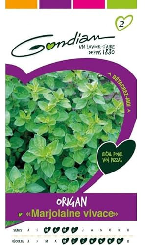 Gondian - Origan Marjolaine Vivace