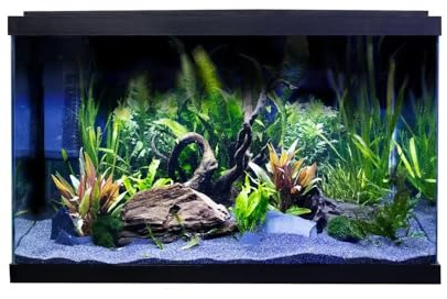 Swell Premium Tropical Aquarium Kit, 57L, Ultra-Clear Glass, LED Lighting, 60 x 30 x 37cm