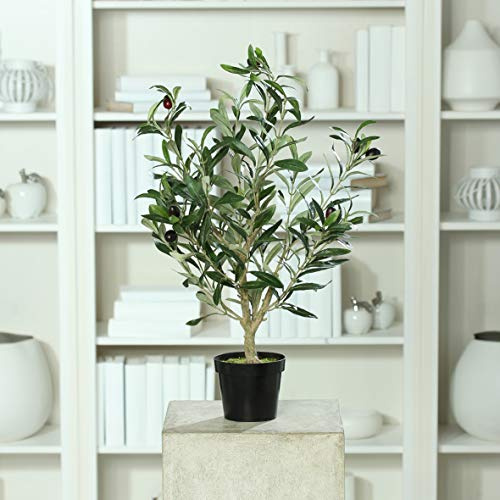 mucplants Künstlicher Olivenbaum mit ca. 11 schwarzen Oliven im schwarzen Topf Höhe 60cm Topfpflanze Kunstpflanze Olive