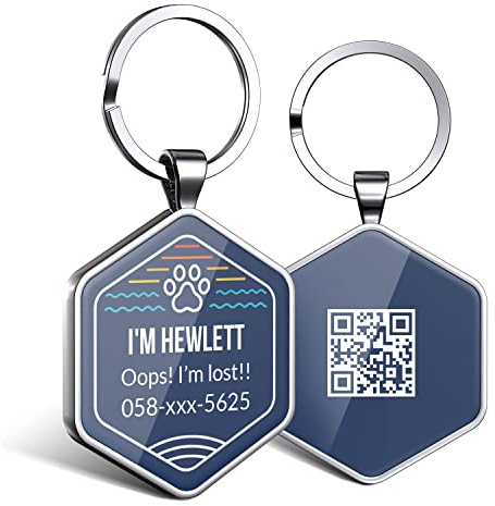 DISONTAG Hundemarke Personalisiert mit QR Code,32 mm 2 Seiten Dog Id Tag mit SchlüSselring für Hundehalsband,Leichter zu Lesen als Gravur– Online|Modifizierbar|Colourful(Runden)