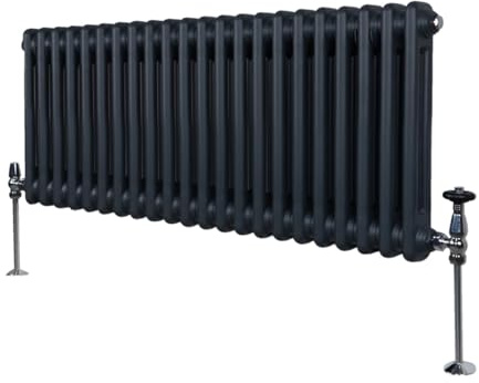 Monster Shop Radiatore Termosifone a 2 Colonne 300mm x 1012mm Moderno Centralizzato Grigio Antracite in Acciaio Inox Orizzontale a Parete Cucina Soggiorno Bagno Kit di Fissaggio e Spazzola Inclusi