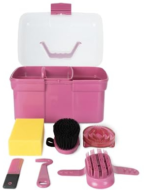 HORZE Caja de limpieza para niños con cerrojo, raspador de pezuñas, peine y mucho más