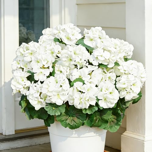 AWARDSEN 4 Pcs White Artificial Geranium Flowers for Outdoors UV Resistant Fake Silk Geranium Flower Outdoor Plants for Home Porch Courtyard Decoration