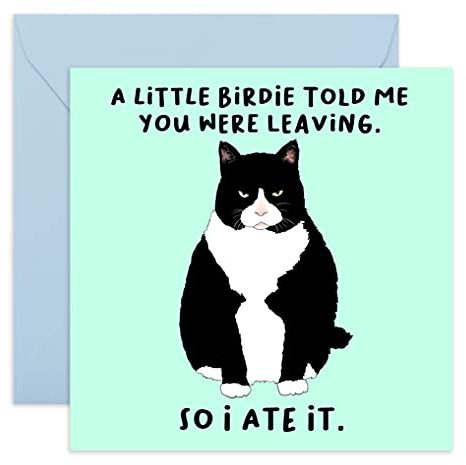 Central 23 - Cartes de vœux humoristiques pour elle – « A Little Birdie. You Were Leaving » – Carte de félicitations coquines – Carte de nouvel emploi amusante – Cartes de départ pour collègues