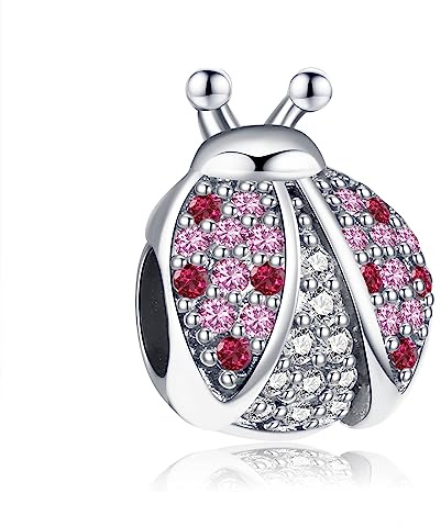 Symretie Pendentif Charm en Argent 925, Compatible avec les Bracelets et Colliers de Style Pandora et Européen. Convient aux Femmes et aux Filles.