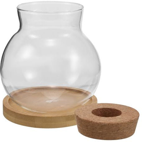 TOPBATHY 2sätze Glasbehältertöpfe Für Pflanzen Hydrokultur-vase Mit Bambustablett Glasterrarium Für Anzuchtgläser Tischpflanzgefäß Für Home Und Bürodekoration