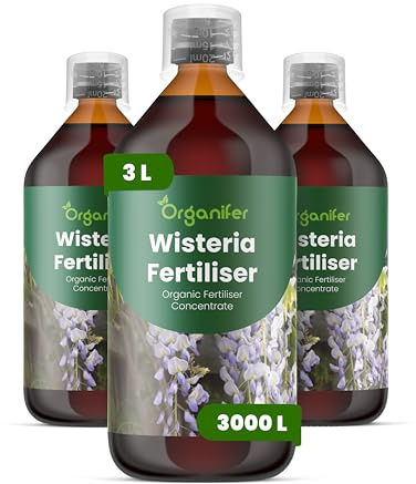 Engrais Liquide Pour Glycine - 3L - 2-1-8 NPK | Engrais Pour Floraison Luxuriante Et Croissance Vigoureuse - Stimule Racines Et Résistance - Organifer