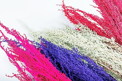 Fresh Silver Sage Wedding Mixed Variety in Season for Wedding Event Everyday Long Lasting Easy to Use Trendy