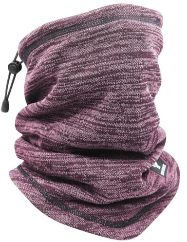 HNOOM tubhalsduk män kvinnor vinter loop halsduk multifunktionell duk vindtät halsvärmare varm fleece fodrad halsvärmare för utomhus skidåkning motorcykel löpning cykling, lila, 27 x 39 cm
