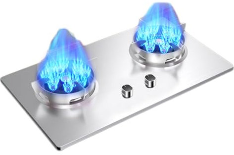 Propane Stove,Double Burner Portable Propane Stove,Stainless Steel Gas Cooktop Maximum 17060BTU Suitable for Kitchen RV and Apartments (Color : LPG, Size : Style 6)