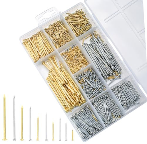 1000 PzChiodi per Legno, Chiodi per Quadri Muro, Assortimento di Chiodi senza Testa, Chiodini per Quadri Muro a Testa Piatta per Legno, Quadro Appeso, Specchio, Cartongesso
