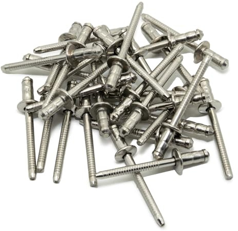 LeoVince - Set di 20 rivetti di scarico, in acciaio inox, 4,8 x 10 mm