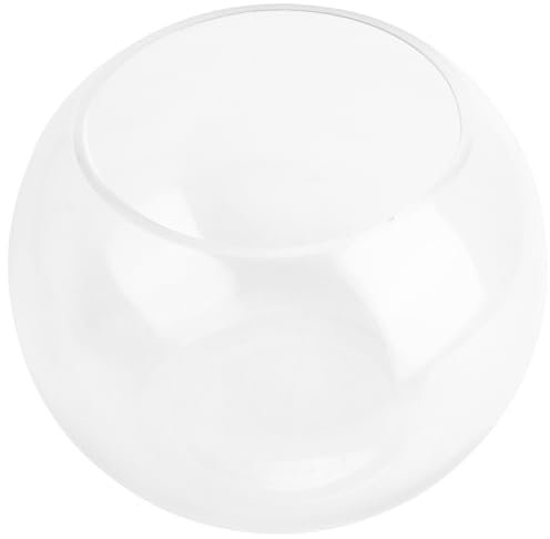 20cm Kreative Glasvase Hydrokulturpflanzenhalter Moderne Blumenvase Für Home Office