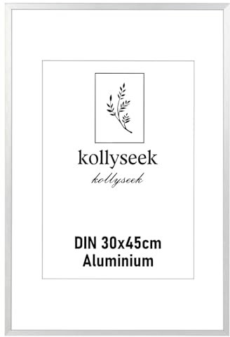 Kollyseek Marco de Aluminio 30 x 45 cm Plateado Con Vidrio Acrílico - Cartel Metálico Moderno Indestructible - Canal de Imagen Foto Plateada