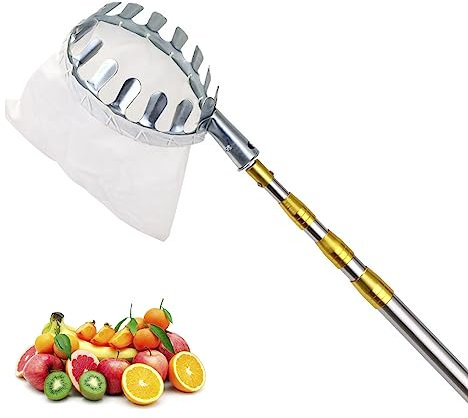 ERSINIAN Fruit Picker, Stainless Steel Apple Picker Telescoping Pole with Metal Head, Sturdy Lightweight Fruit Catcher for Avocados Mango Orange Lemon and More Fruits Tree Picker,Gold,6M/19.6FT