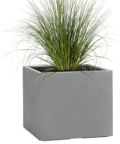 Pflanzwerk® Pflanzkübel Fiberglas Cube XXL GRAU 65 x 80 x 80 cm 2 Jahre GARANTIE *Frostsicherer Blumenkübel* *Deutsche Premiumqualität* *Lotus-Effekt Imprägnierung*