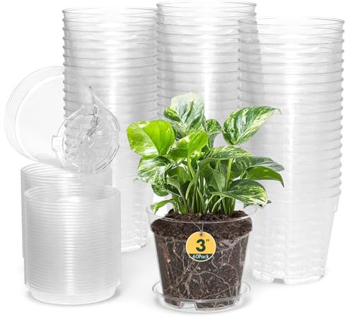 Homeuouz 60 Packs Blumentopf mit Untersetzer, 7.6cm Anzuchttöpfe, Plastik Übertopf mit Mehrere Ablauflöchern, Hydrokultur Topf, Blumentöpfe Set Ideal für Innen und Balkongärten,Transparent