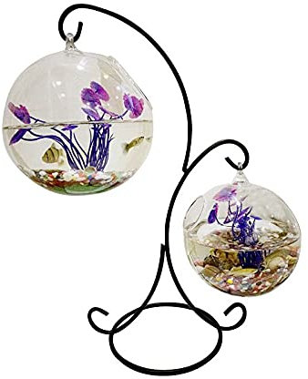 HASMI Aquarium Kreative Desktop Kleiner Fischtank Ökologische Runde Transparentes Glas Mini Goldfisch Betta Fischtank Haushaltswohnzimmer Aquarien