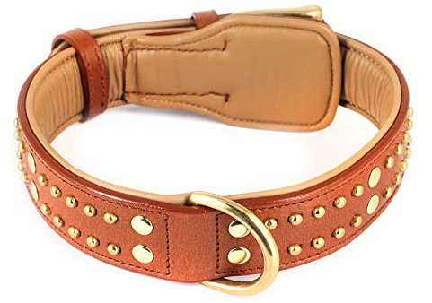 Monkimau Hundehalsband - Halsband für Hunde aus Leder mit Nieten gepolstert verstellbar (L: 35mm x 65cm)