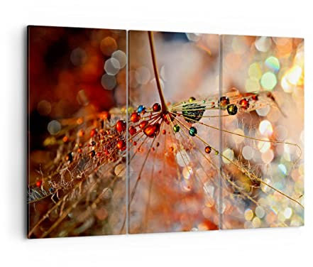 Mehrteilige Bilder auf Leinwand Spinnennetz modern Leinwandbild 105x70cm Wandbilder Dekoration Wohnzimmer Schlafzimmer Set 3 teilige Groß Wanddeko Bild Wand Kunstdruck Art Decor Canvas CE105x70-3774