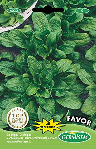 Germisem Feldsalat FAVOR, mehrfarbig, EC6032