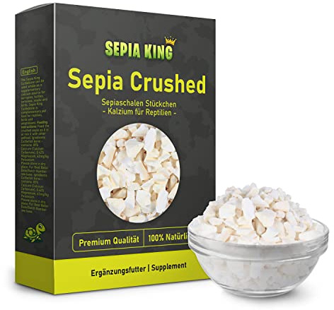 Sepia King - Sepiaschalen Bruch in Premium Qualität - Kalzium für Schildkröten, Bartagame, Geckos, Reptilien - Futterkalk, Kalk Terrarium Zubehör - Keine Reste oder Abfall - 600g