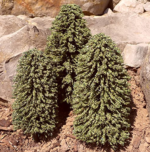 Generisch 3-STÜCK Modellbau Bäume LAUBBÄUME mit Fuß 12-16cm hoch Wunder SCHÖN