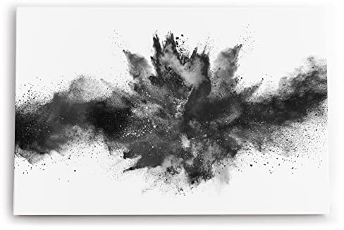 Paul Sinus Wandbild 60x40cm Dekorative Kunst Abstrakt schwarzes Pulver Modern Schwarz Weiß