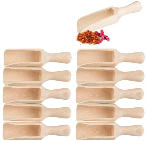 Smart-Planet Juego de 10 Cucharas para Especias Mini de Madera - 8 cm, Pala y Dispensador para Cocina Infantil