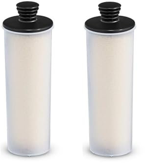 HFKBORHR Cartuchos De Filtro Descalcificadores, Accesorios For Limpiadores A Vapor. Compatible con Karcher SC2 SC3. 2 Piezas De Filtro Vertical