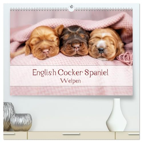 English Cocker Spaniel Welpen (hochwertiger Premium Wandkalender 2026 DIN A2 quer), Kunstdruck in Hochglanz: Monatskalender, Jahreskalender, Geburtstagskalender (CALVENDO Tiere)
